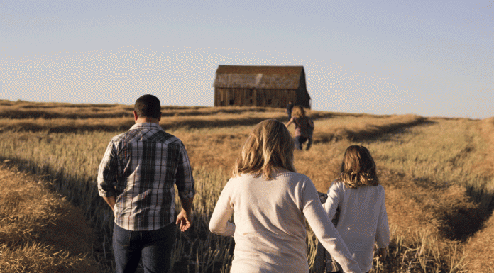 Poate întreprinzătorul individual la completarea declaraţiei VEN12 sau UNIF15 pentru anul 2016 să beneficieze de scutirile personală, pentru soţie şi copiii? Completarea declaraţiei ven12