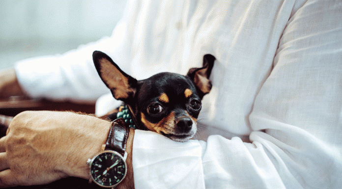 Pot fi deduse în scopuri fiscale cheltuielile pentru deplasarea peste hotare a fondatorului? Deducerea cheltuielilor de deplasare