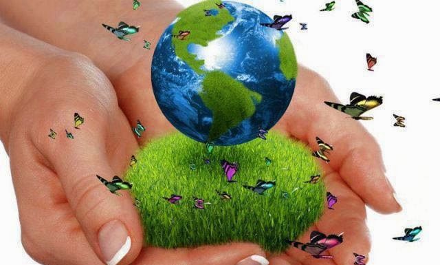 Trebuie sau nu de achitat taxa pentru mărfurile care, în procesul utilizării, cauzează poluarea mediului? Taxa pentru poluarea mediului