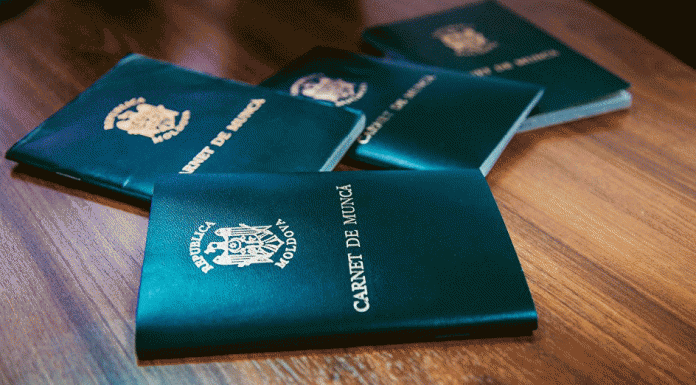 Трудовые книжки прекращают свое существование Трудовые книжки прекращают свое существование