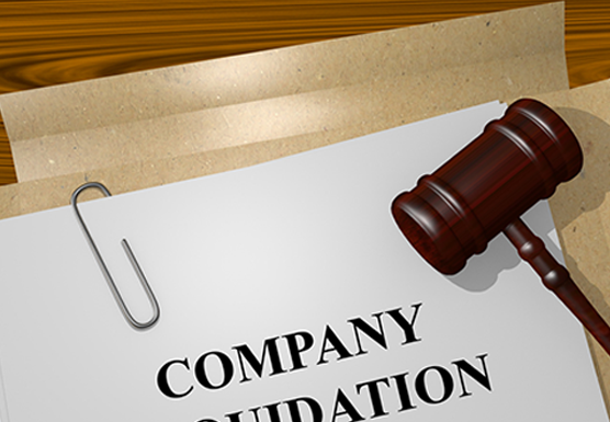 Au intrat în vigoare noile prevederi aferente lichidării entităţilor Noi prevederi aferente lichidarii entitatilor