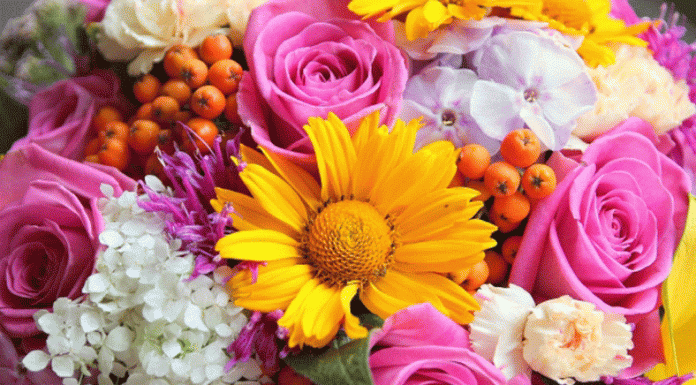 Mesaj de felicitare cu ocazia zilei contabilului