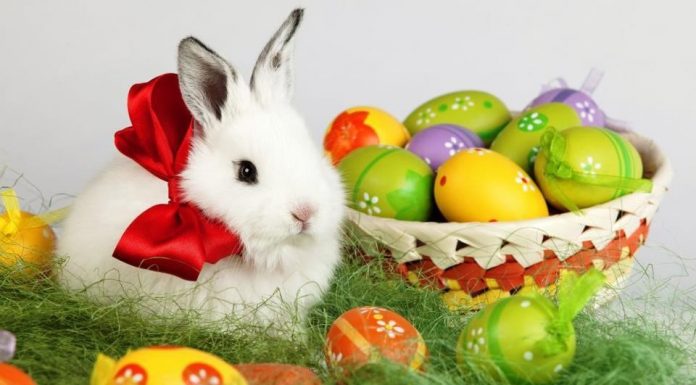 Un Paște Fericit alături de cei dragi!