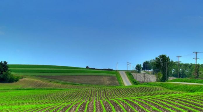 Cum calculăm impozitul pe venit la înstrăinarea unui teren