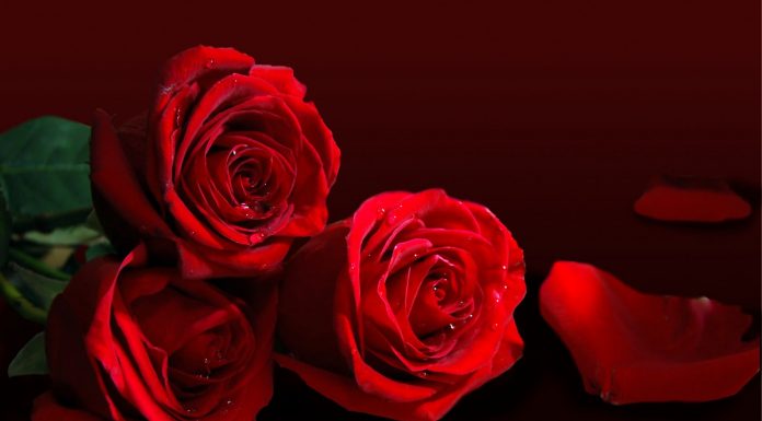 Mesaj de felicitare cu ocazia zilei financiarului