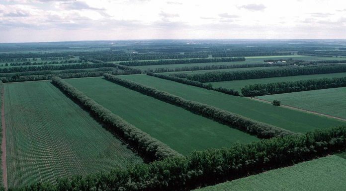 Примэрия сможет забирать частные земли